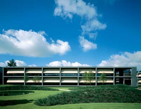 Nature also comes into the composition, lapping the architecture with organic forms and unleashing a curious resonance 