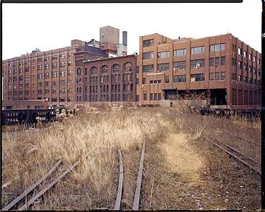 Photo courtesy Joel Sternfeld