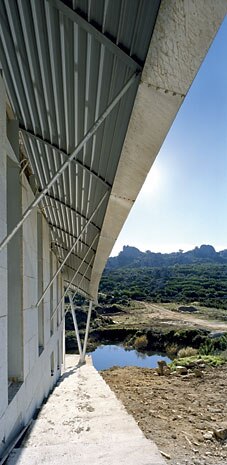 31. Photo Davide Virdis