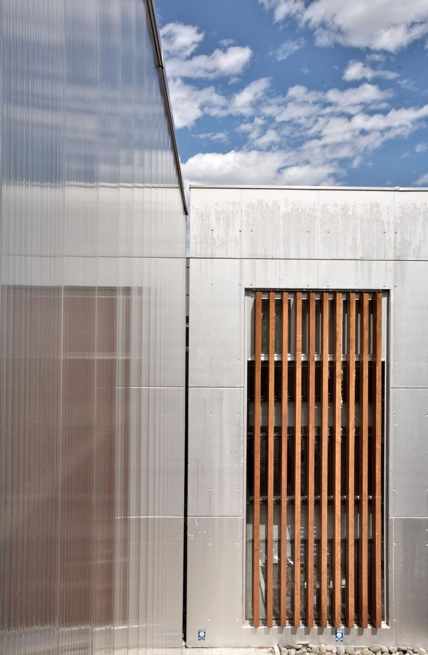 Photo by Toni Meneguzzo