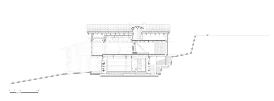 Longitudinal section