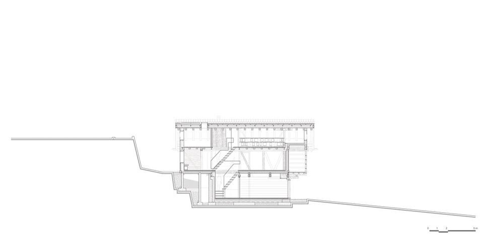 Longitudinal section