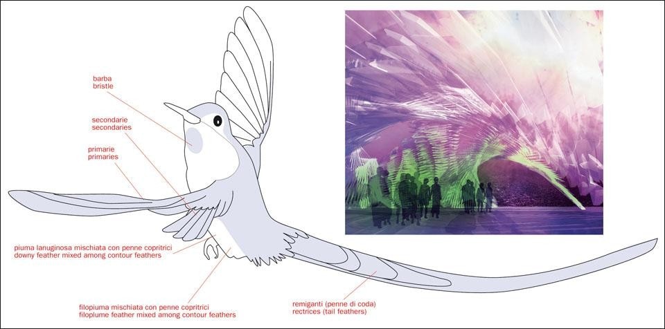 the Violet-Tailed Sylph (<i>Aglaiocercus coelestis</i>). Alina Amiri and Joanna-Maria Helinurm investigated the theme of colour through the morphology and colour characteristics of the bird’s feathers. This led to the design of a cladding panel for a pavilion with iridescent colours (left and above).