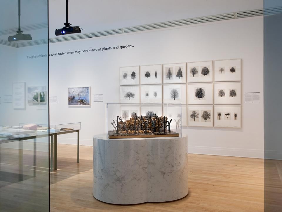 <em>Imperfect Health: the Medicalization of Architecture</em>, installation view. In the center: Édouard François, <em>L’immeuble qui pousse</em>. Photo © CCA, Montréal <em>Imperfect Health: the Medicalization of Architecture</em>, installation view. In the center: Édouard François, <em>L’immeuble qui pousse</em>. Photo © CCA, Montréal