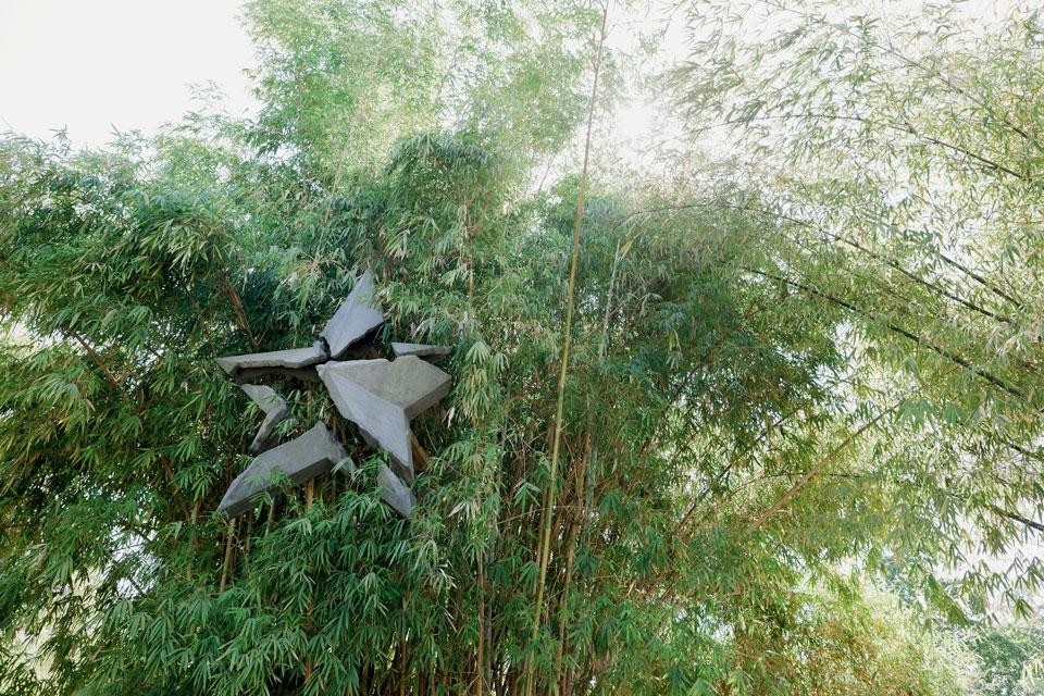 Vargas Lugo hung a concrete
and iron star among the
stalks of bamboo. Despite
its solid physical presence,
the structure seems to be
fragmented by the force of the
foliage
