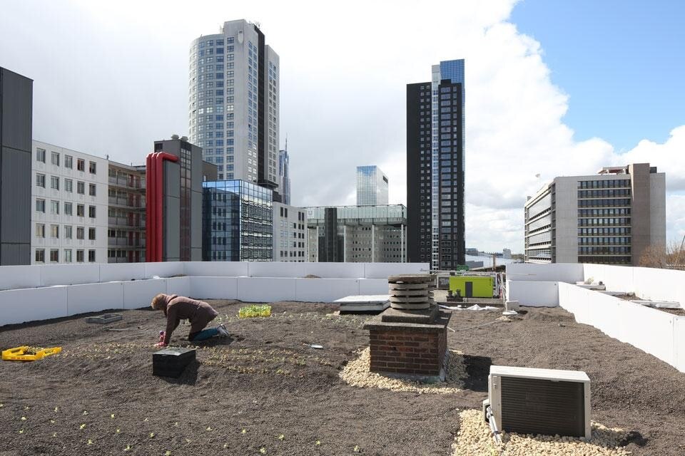 Rooftop Garden on top of the Schieblock