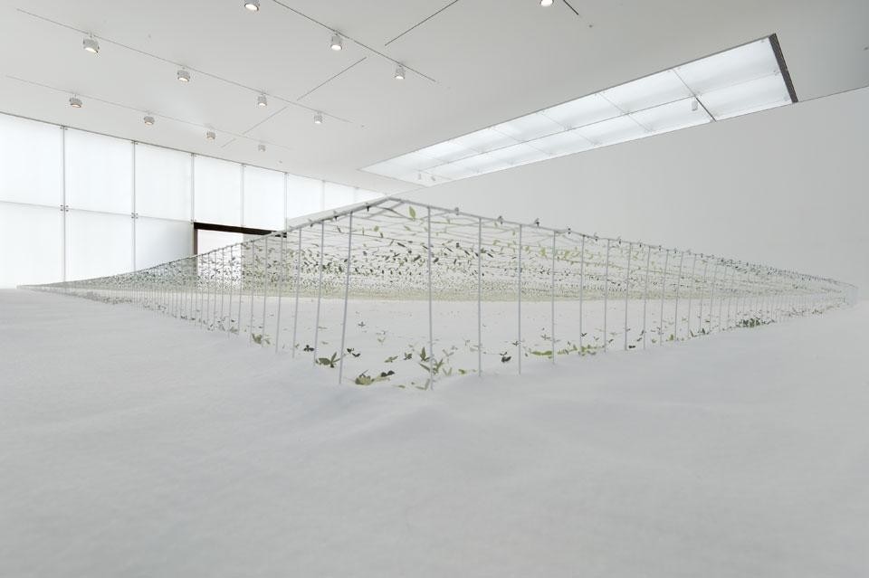 Junya Ishigami, <em>Another scale of architecture — horizon</em>, Toyota Municipal Museum of Art, 2010. Courtesy Gallery Koyanagi. © junya.ishigami+associates. Photo by Yasushi Ichikawa