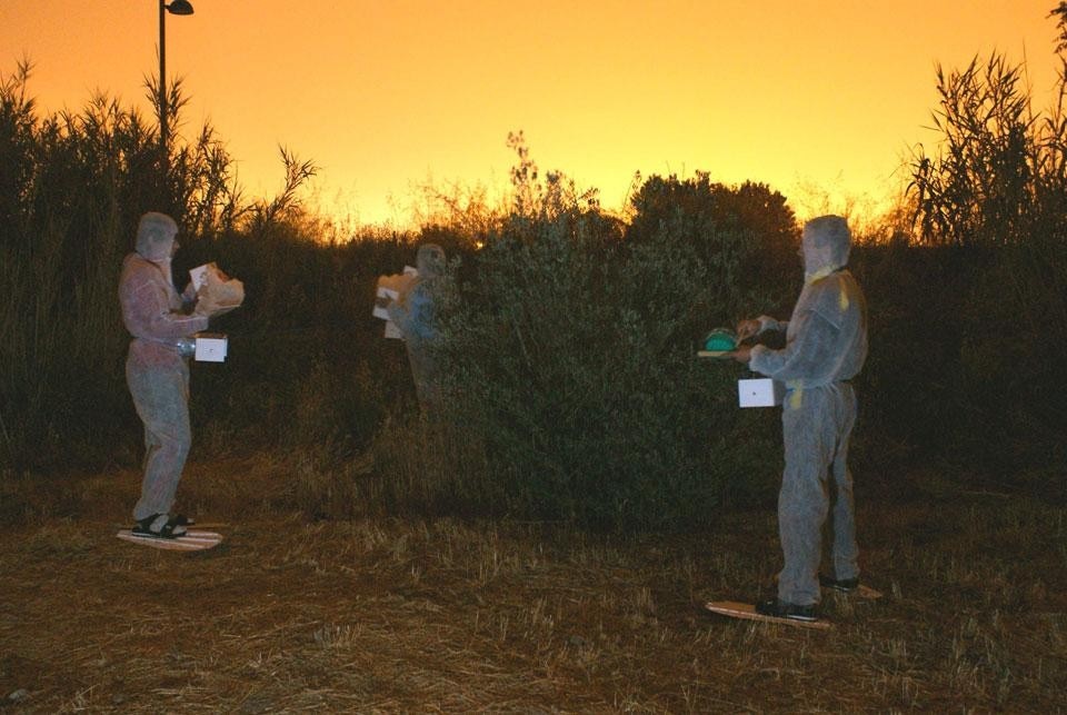 <em>White noise lullabies</em>; These will ensure users of a pleasant sleep by submerging them in a relaxing landscape of sound created live by overlapping modulated white noise with the naturally-occurring sounds of the orchard, as rehearsed the night before <em>White noise lullabies</em>; These will ensure users of a pleasant sleep by submerging them in a relaxing landscape of sound created live by overlapping modulated white noise with the naturally-occurring sounds of the orchard, as rehearsed the night before