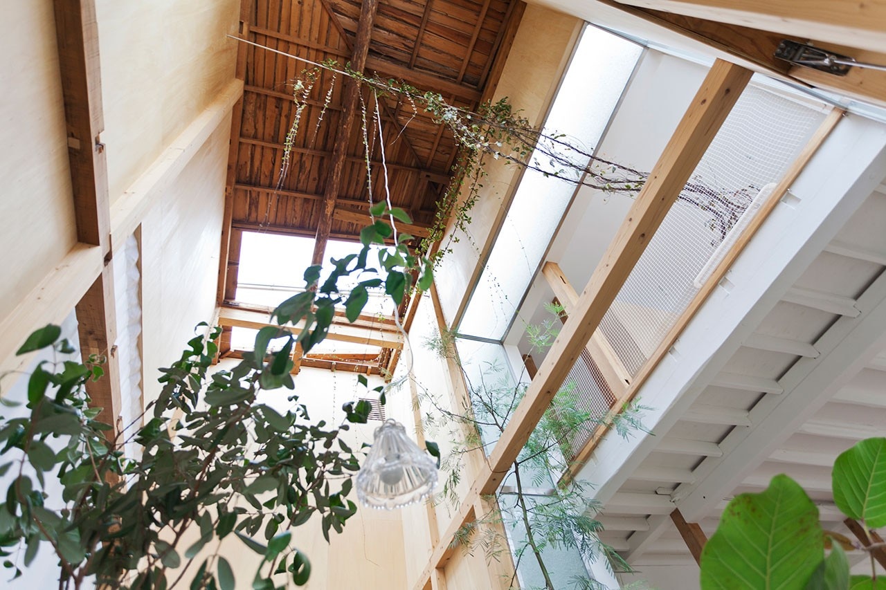miCo_casa_a_Komazawa_Park miCo_casa_a_Komazawa_Park