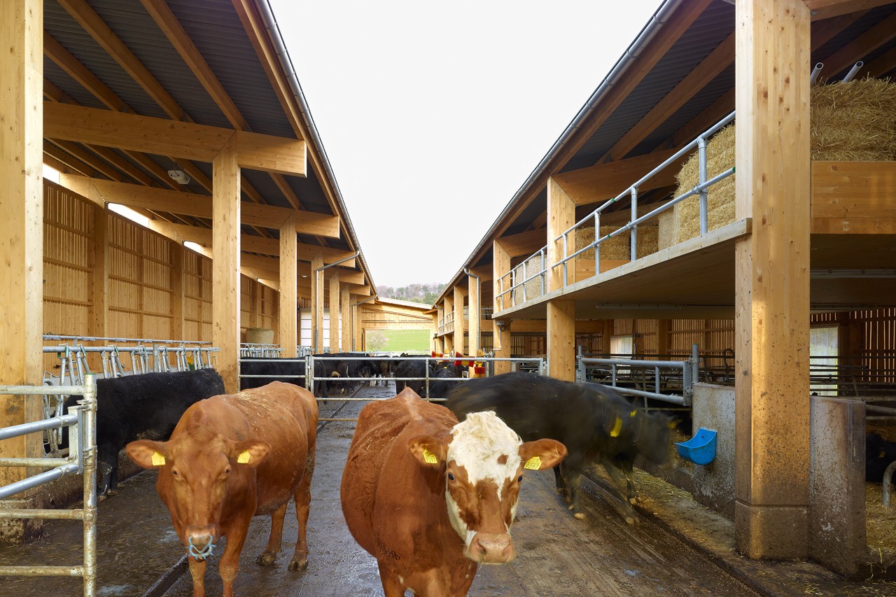Plan for cowshed Street turned to a cowshed and parking