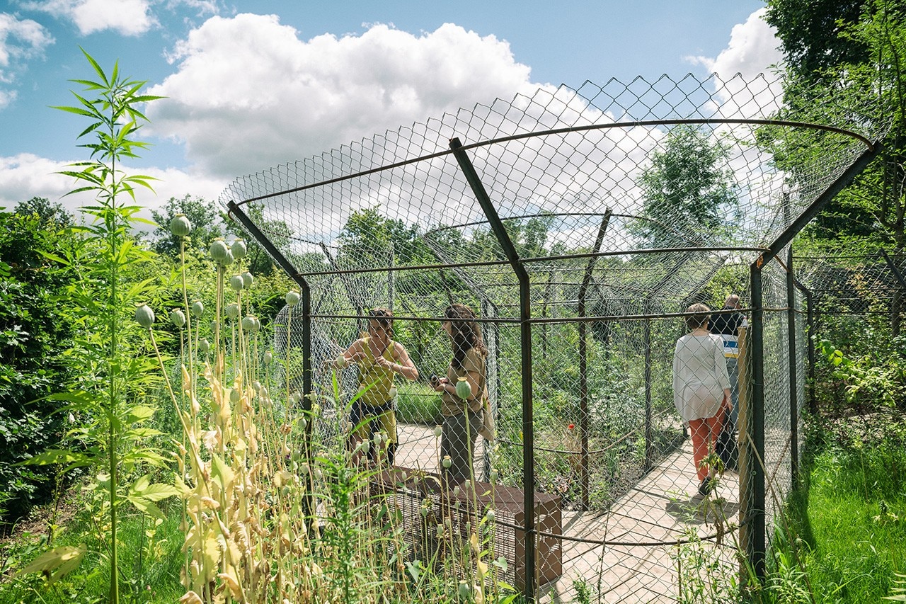 Lucien Puech Architecture, Les fleurs maudites, International Garden Festival, Domaine of Chaumont-sur-Loire, France