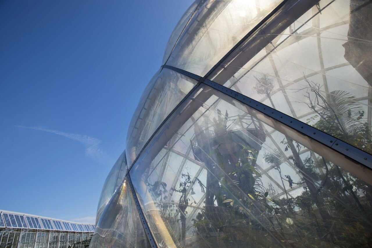 C.F. Møller Architects, Sustainable Hothouse, Botanical Gardens, Aarhus, Denmark. Photo © Julian Weyer