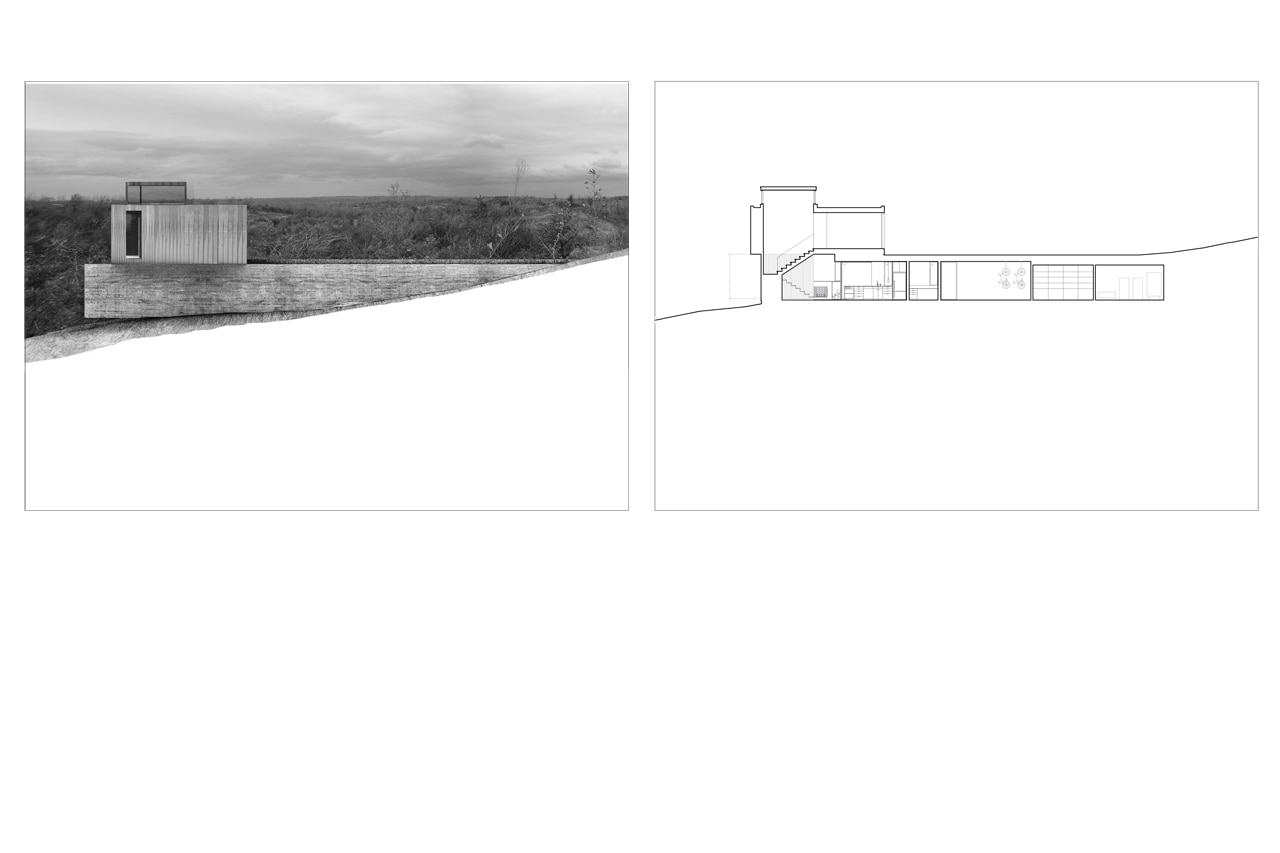 House in Frogs Hollow Domus