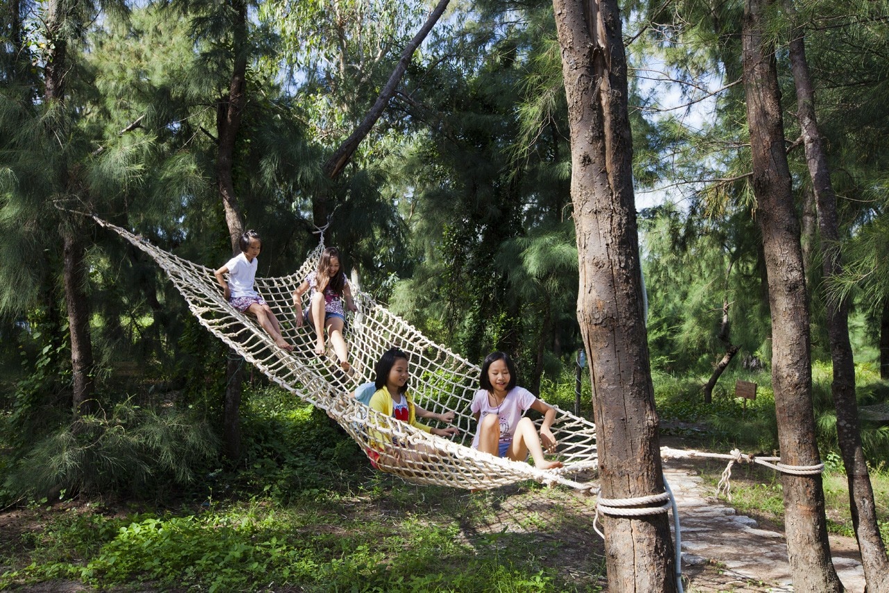 Dragonfly Park Domus