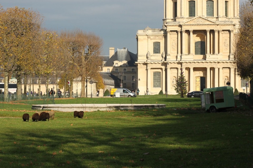 Sul futuro di Parigi