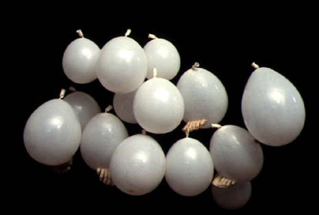 Luisa Rabbia, "A breath of life", 2000