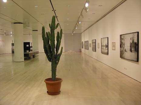 The images are alternated with scores-paintings by Brazilian musician Emanuel Dimas de Melo Pimenta, alongside other objects: a cactus, a group of stones and a table covered in the spices that Cage used for cooking with