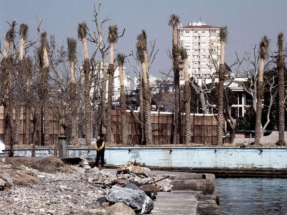 Banu Cennetoglu, <i>Are there any
palm tres in grozny?</i>,
2005 Banu Cennetoglu, <i>Are there any
palm tres in grozny?</i>,
2005