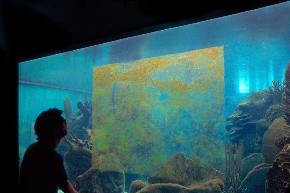 <i>Grande Vetro</i>,
view of the installationa at the aquarium of Coney  Island, New York, 2010 (courtesy of the artists).