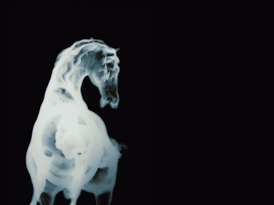 <i>History’s Shadow</i>  GM3, 2010
Courtesy of the artist and Haines Gallery

