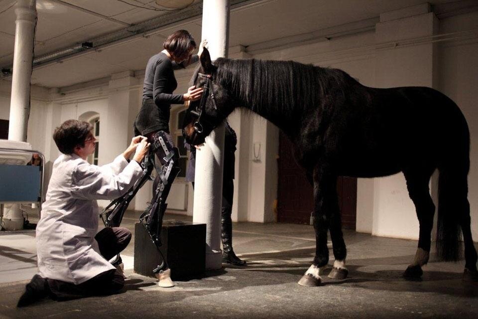 <i>May the Horse Live in Me, </i> in which artist Marion Laval-Jeantet injected herself with horse blood, treated to prevent rejection.