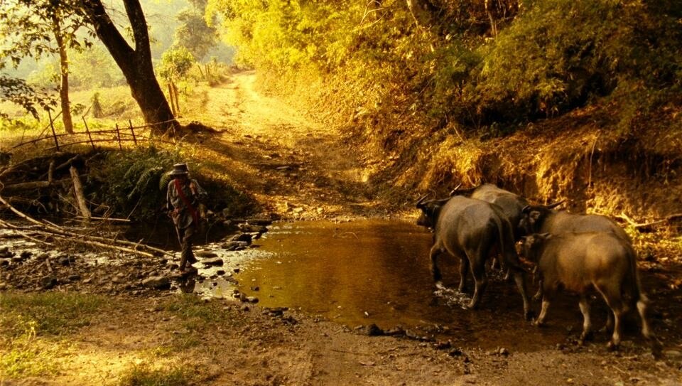 <i>Lung Neaw Visits his Neighbours,</i> a film by Rirkrit Tiravanija, S16mm/154 min. 