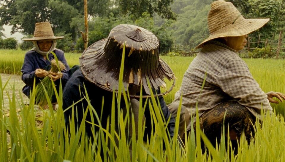 <i>Lung Neaw Visits his Neighbours,</i> a film by Rirkrit Tiravanija, S16mm/154 min. 