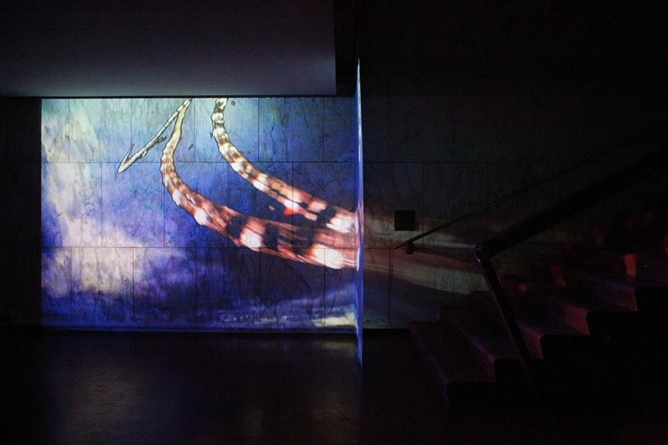 Pipilotti Rist, <i>Lobe of the Lung,</i> audio-video installation, 2009.