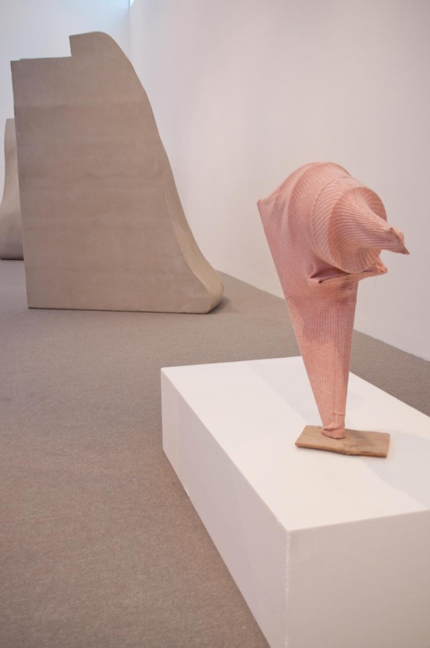 Erwin Wurm, <em>Beauty Business</em>, Bass Museum of Art, installation view