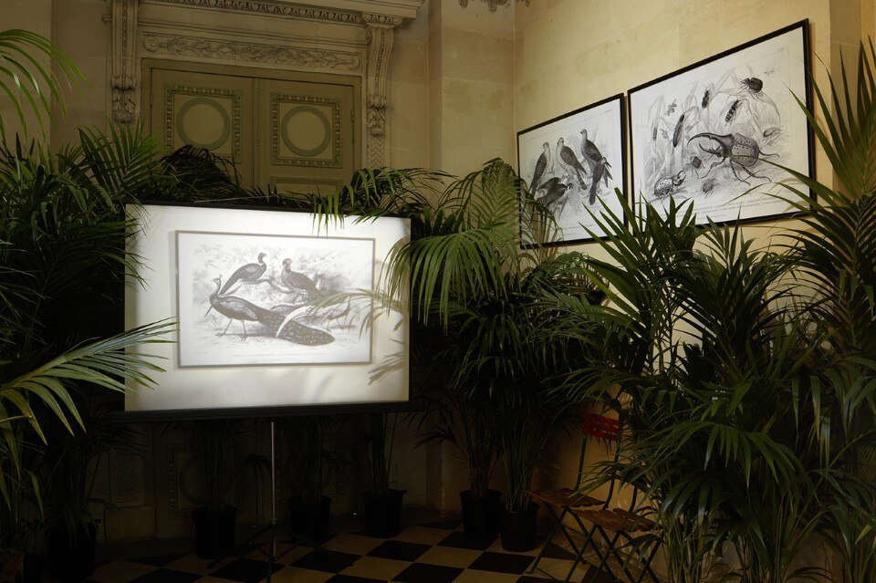 Marcel Broodthaers, Jardin d'hiver, Monnaie de Paris