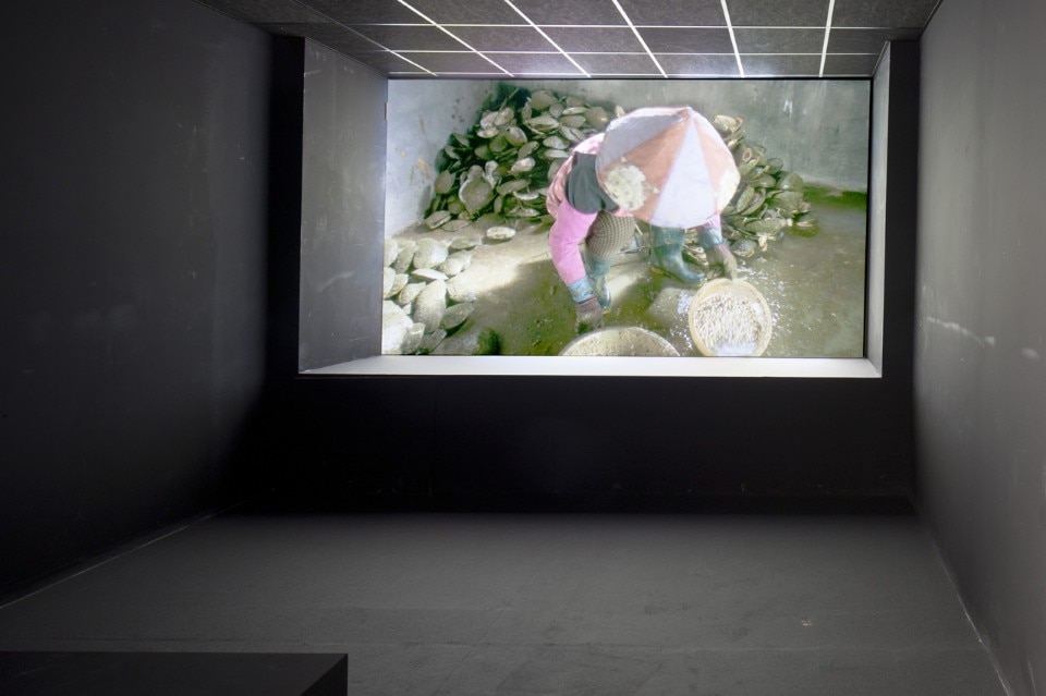 Mika Rottenberg, <i>NoNoseKnows</i>, 2015 Mika Rottenberg, <i>NoNoseKnows</i>, 2015
