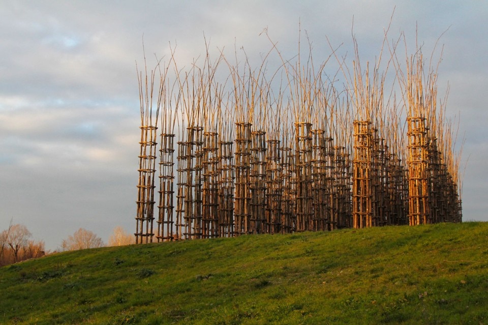 Giuliano Mauri, La Cattedrale Vegetale, veduta dell'installazione, Lodi, 2017