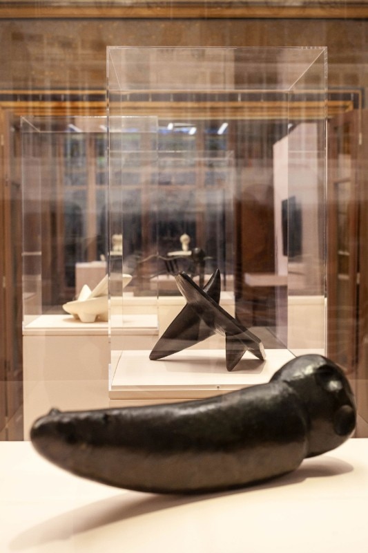 Cruel objects of Desire, Giacometti Institute, 2019