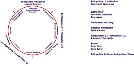 Diagram for the representation of sensorial characteristics and their order of perception 