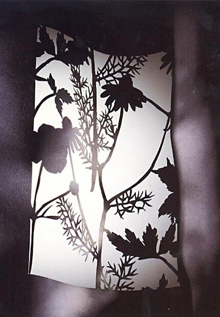 Kirie by Schlaepfer, Création Baumann is reminiscent of Japanese silhouette techniques