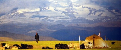 Tibetan nomads