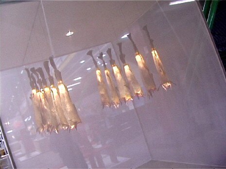 Lamp designed by Dögg Design from Iceland made from codskin
