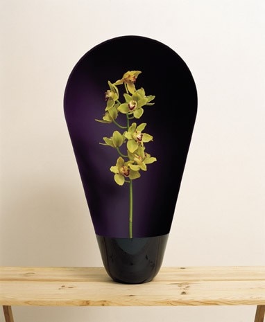 Honda vase
