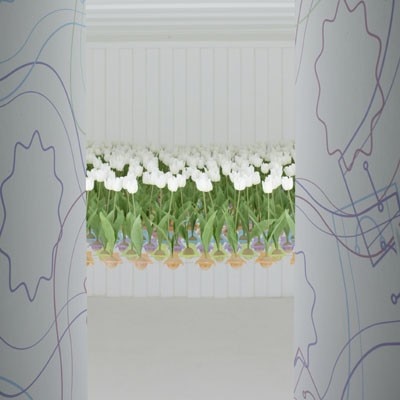 For container 60, Naoki Terada grows a bed of tulips suspended in mid-air by multi-colored two-dimensional bulb holders