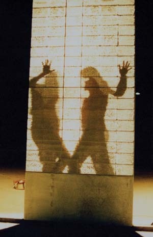 The sharpness of the shadows displayed varies according to the proximity to the panels and the brightness of the light source