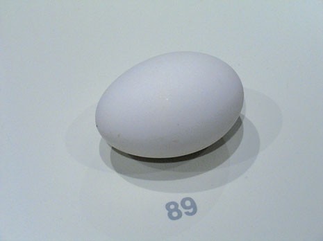 Goose egg