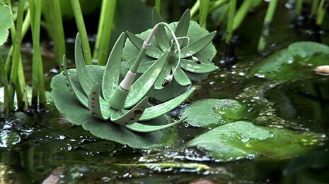 1st Ave Machine, Sixes Last, for Anticon Records, 2005