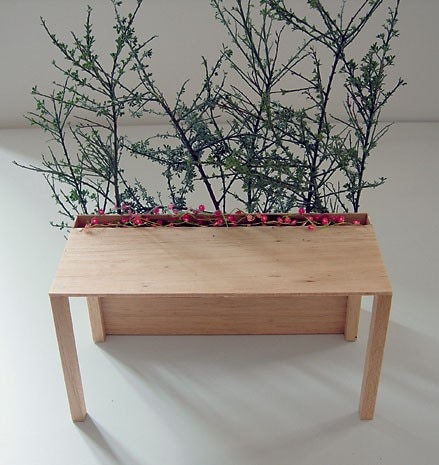 The secret garden, by Elisa
Sighicelli
