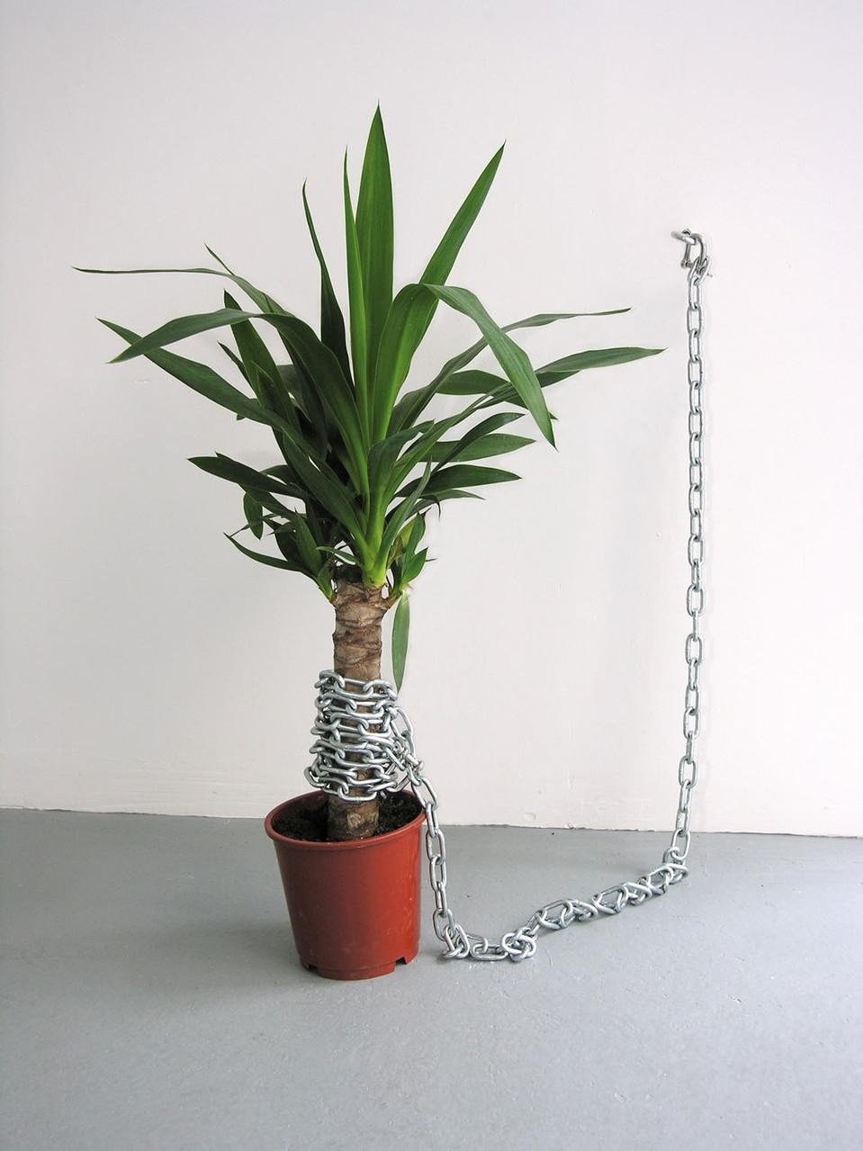 Saâdane Afif, L’esclave, 2005. © courtesy GDM, Paris