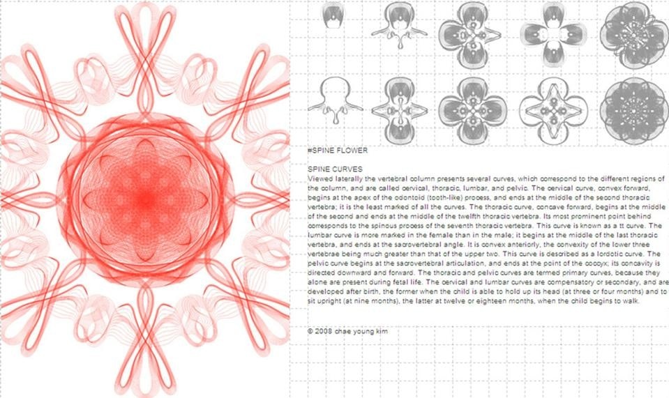 Urban Camouflage Project 04: Gong Zone, 2008-2010 chae young kim