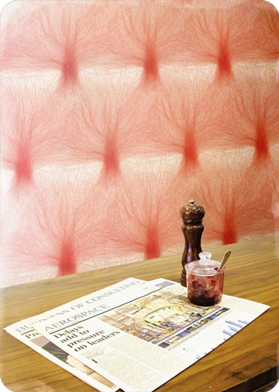 Urban Camouflage Project 06: Smallest Garden, 2009-2010 chae young kim