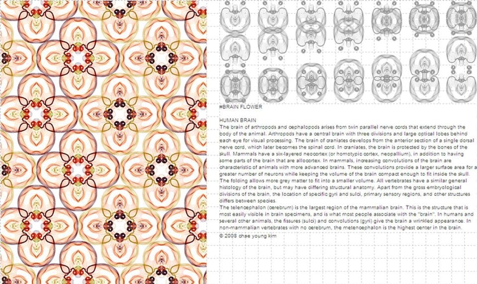 Urban Camouflage Project 04: Gong Zone, 2008-2010 chae young kim