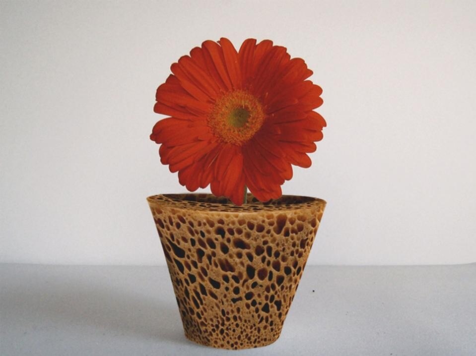 Stefano Claudio Bison: InVaso (2010), vaso contenitore di terra, acqua e piante