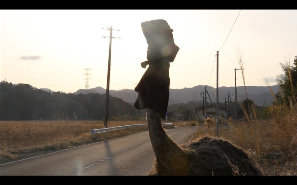 For <em>The Materiality of a Natural Disaster</em>, Hilda Hellström spent a week living in Japan's Fukushima with the last person still living in the evacuated nuclear disaster zone For <em>The Materiality of a Natural Disaster</em>, Hilda Hellström spent a week living in Japan's Fukushima with the last person still living in the evacuated nuclear disaster zone