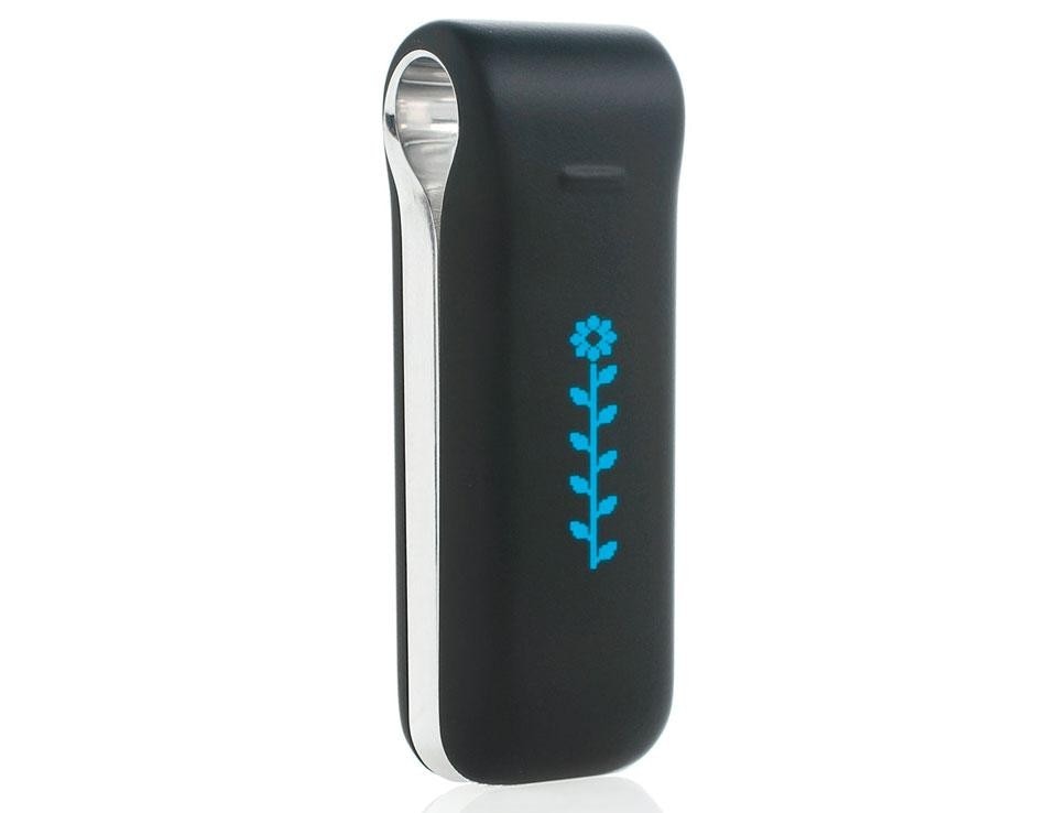 The Fitbit The Fitbit